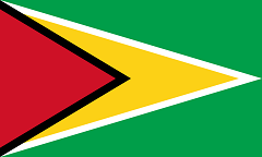 ガイアナの国旗（金鏃旗）