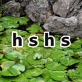 hshs(ハスハス)