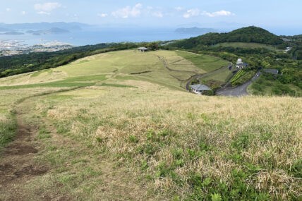 草不可避（ネット用語）