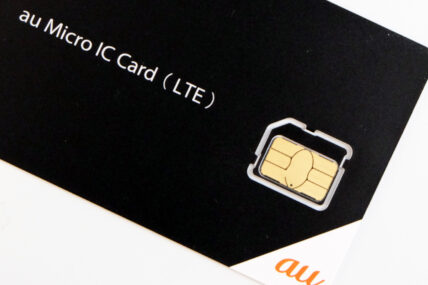 MicroICLTEUとは？