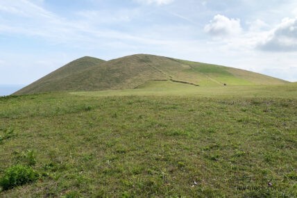大草原（ネット用語）