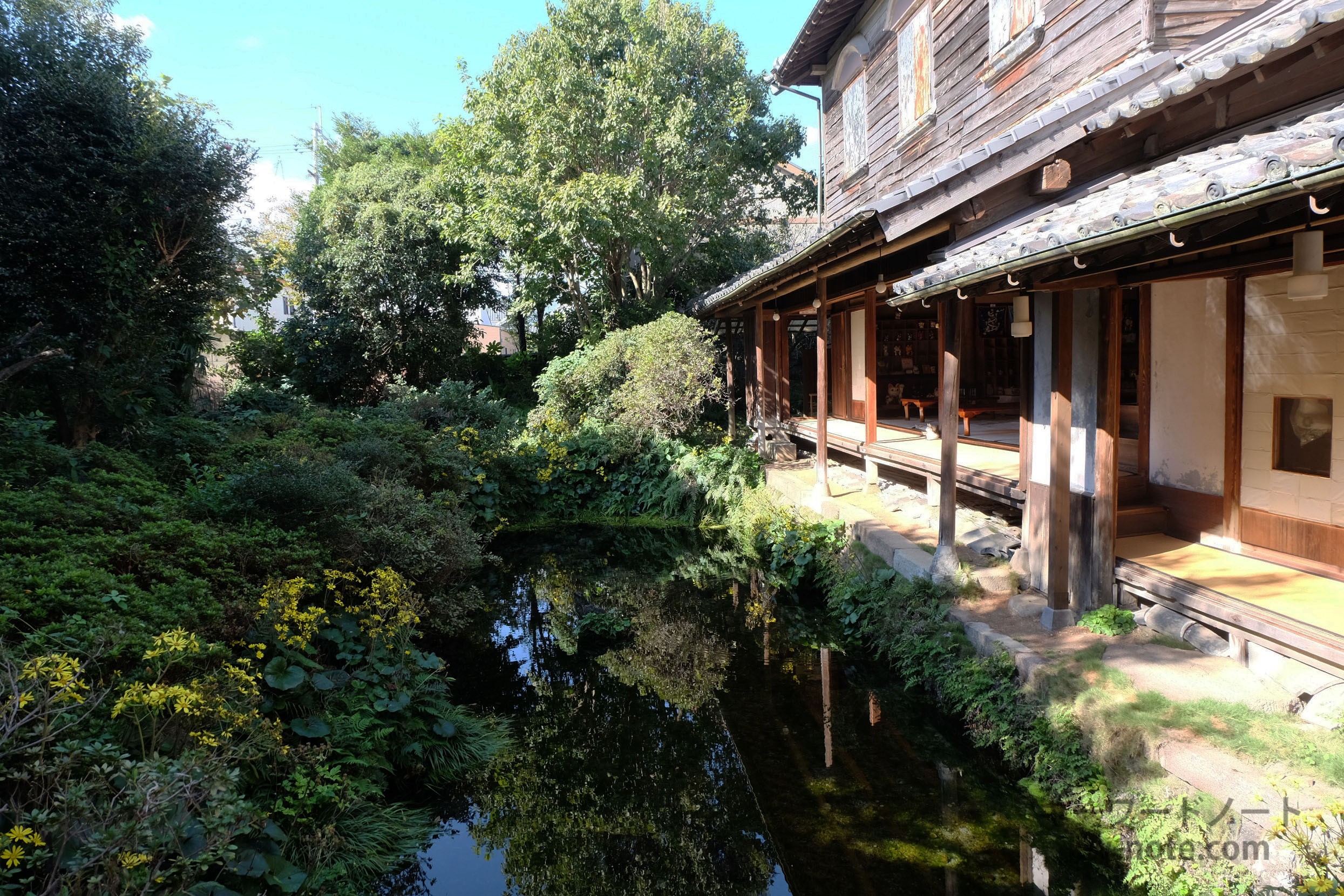日本庭園と湧水