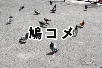 鳩コメ