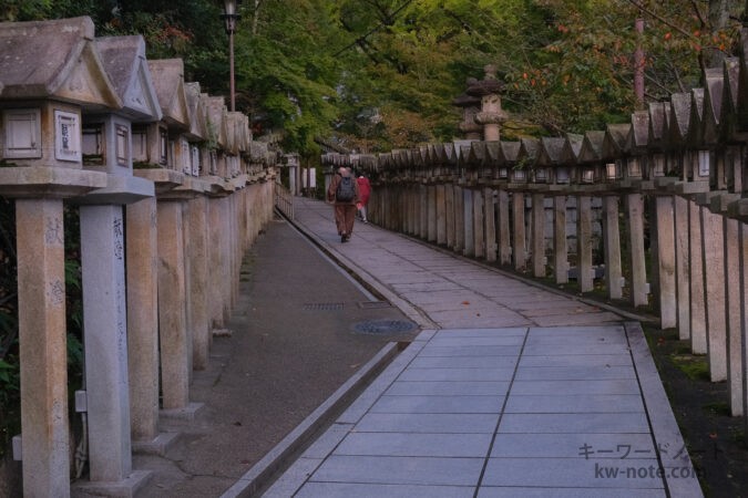 灯篭連なる道を歩く参拝客