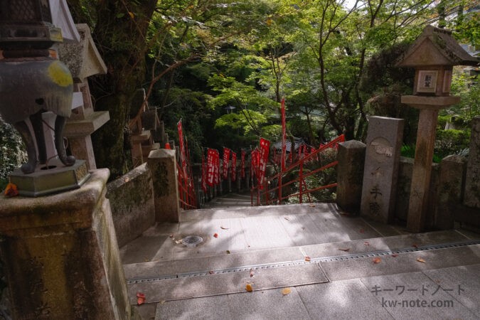 陽が昇り始めた爽やかな日差し