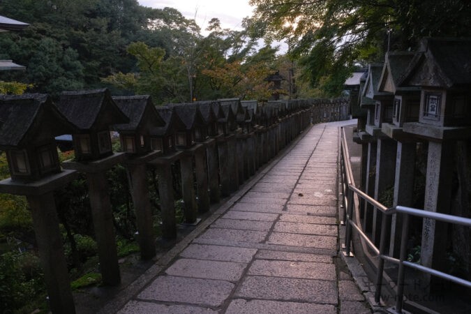 朝焼けの光を反射する湿った石の道