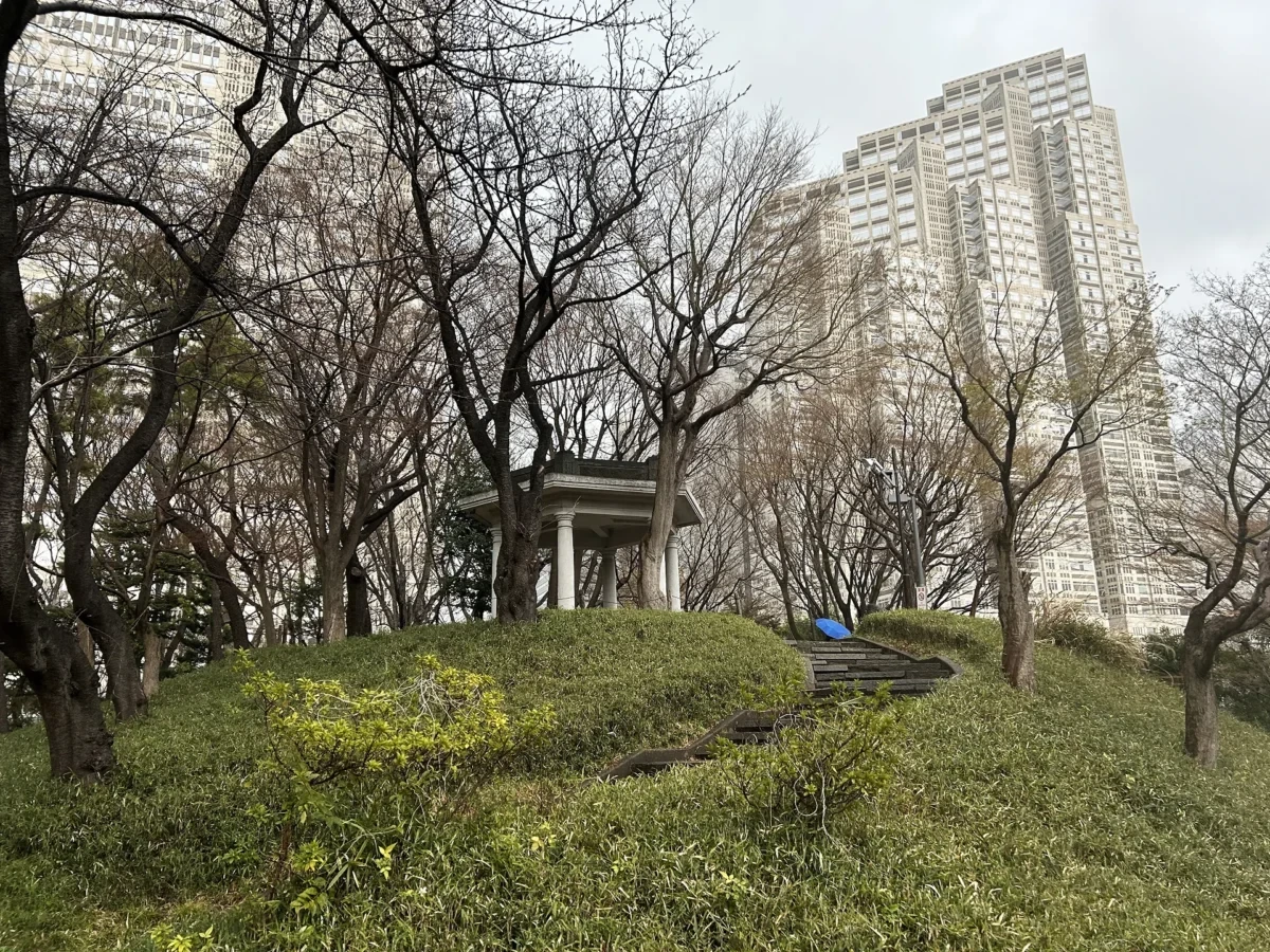 2024/3/20公園の桜