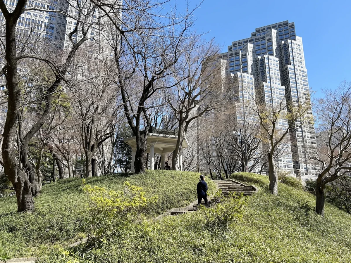 2024/3/21公園の桜