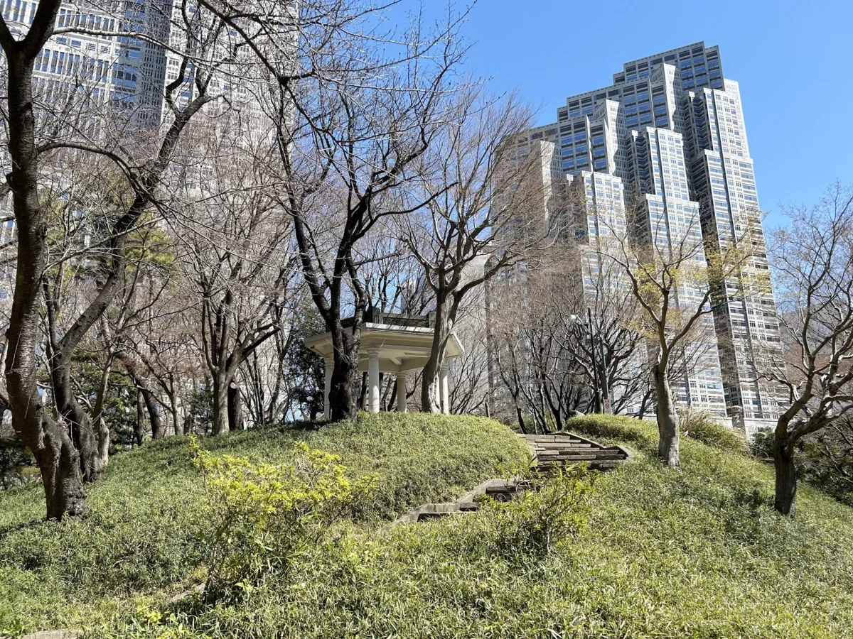 2024/3/22公園の桜