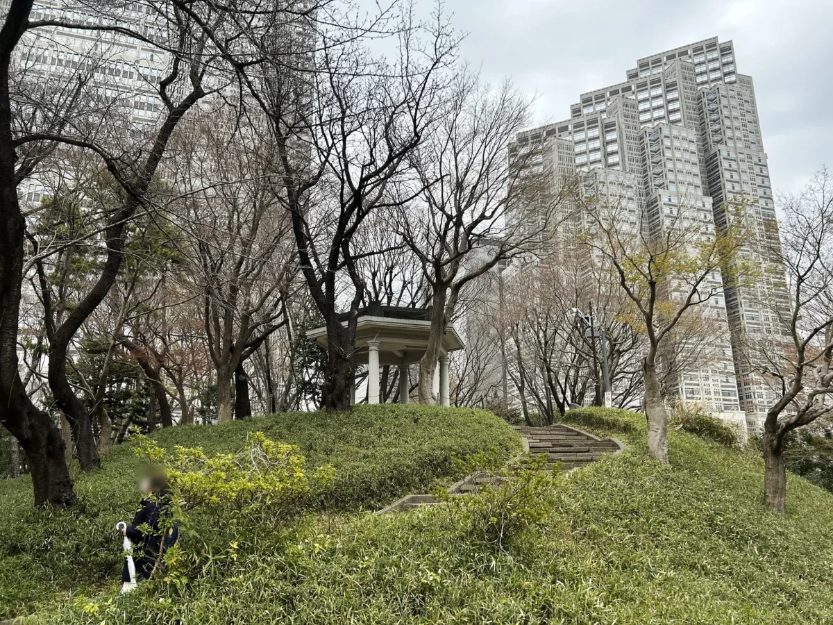 2024/3/24公園の桜