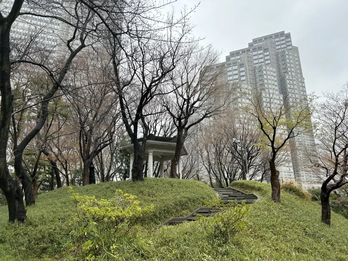 2024/3/26公園の桜