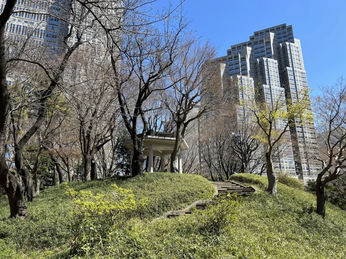 2024/3/27公園の桜