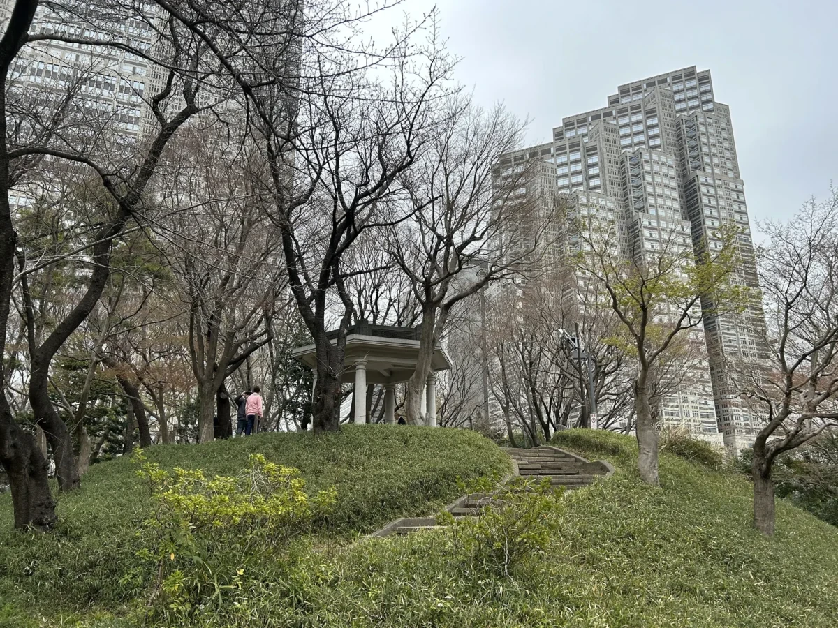 2024/3/28公園の桜