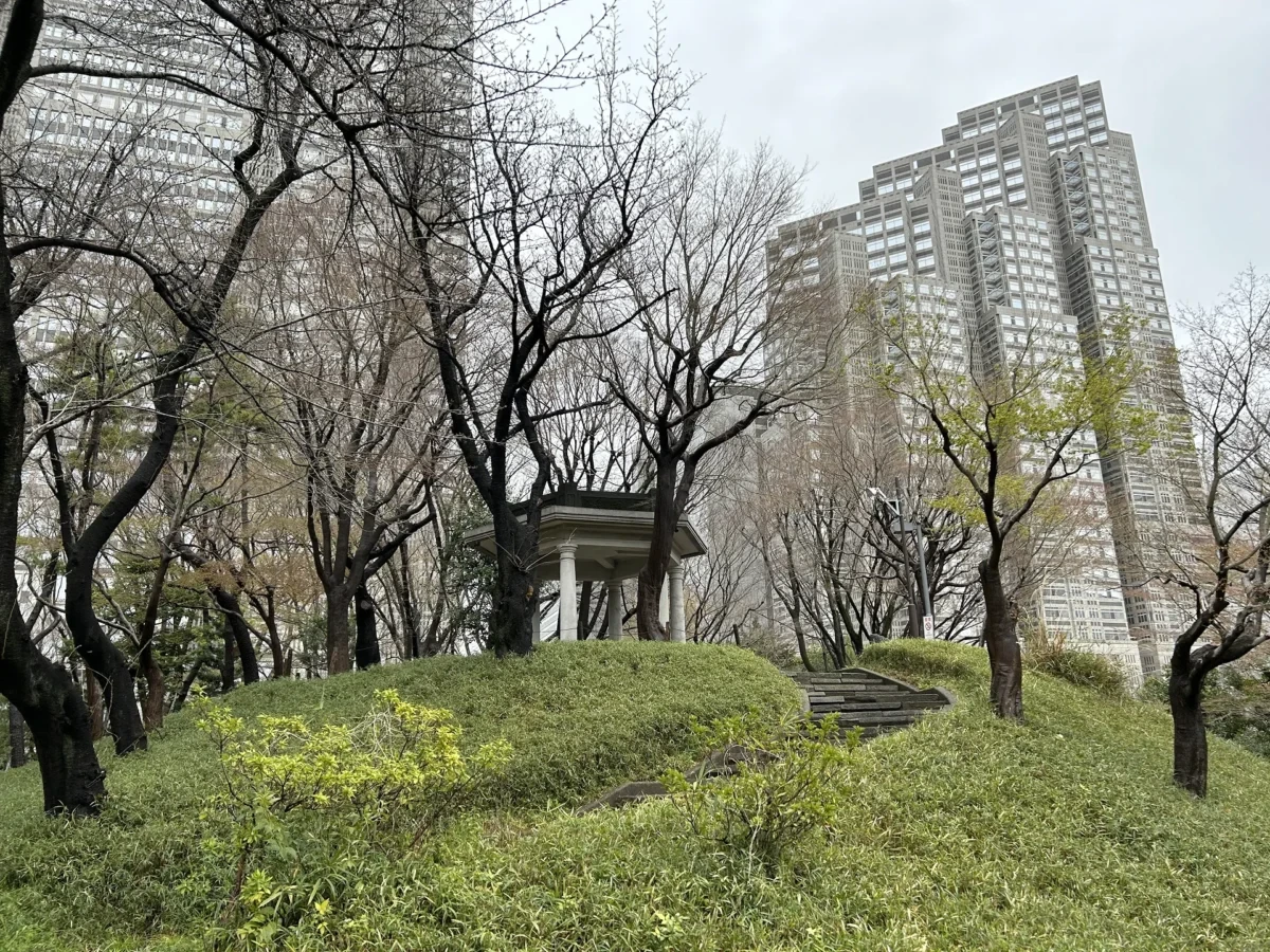 2024/3/29公園の桜