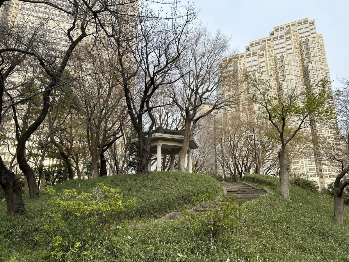 2024/3/30公園の桜