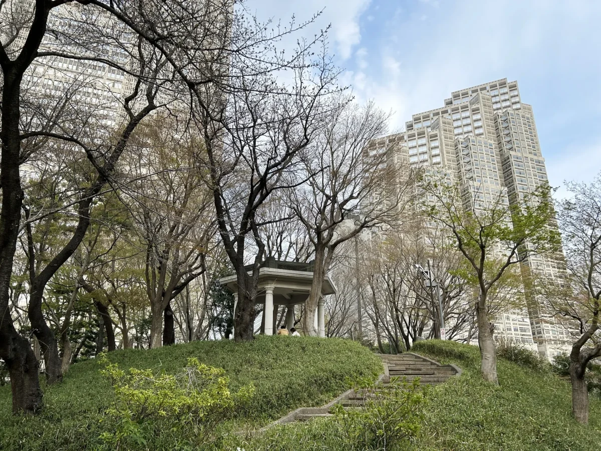 2024/3/31公園の桜