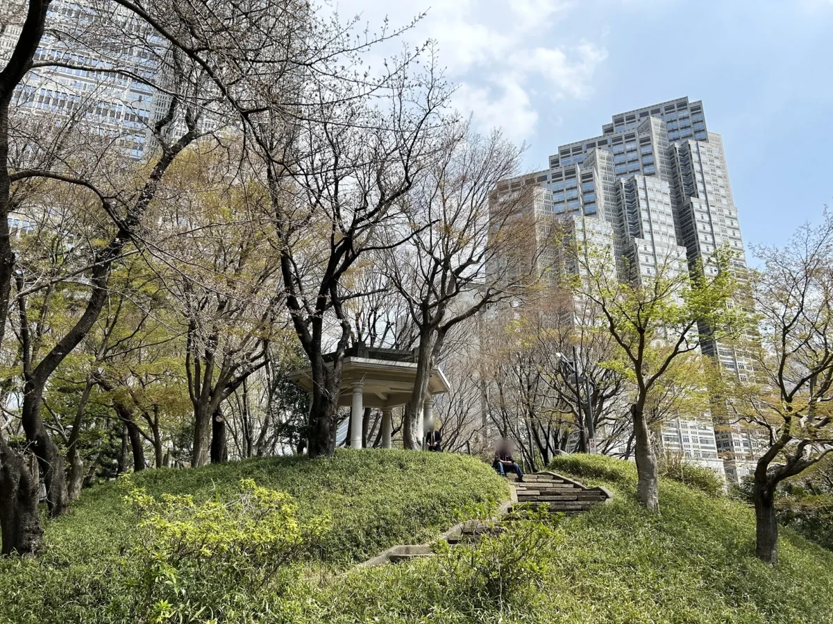 2024/4/1公園の桜