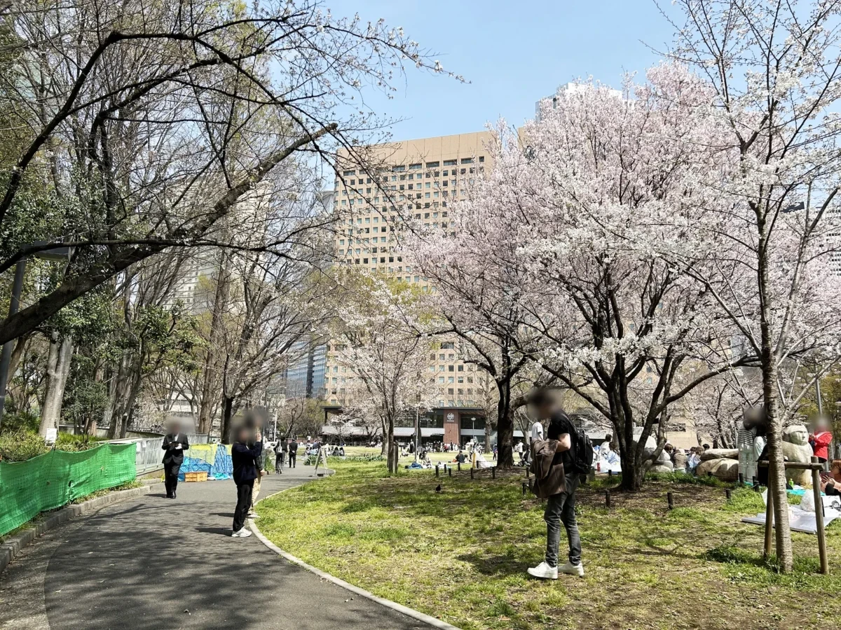 2024/4/2の桜