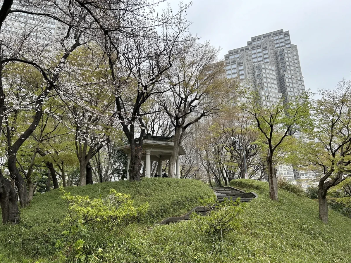 2024/4/3公園の桜