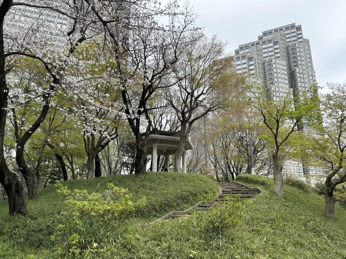2024/4/4公園の桜