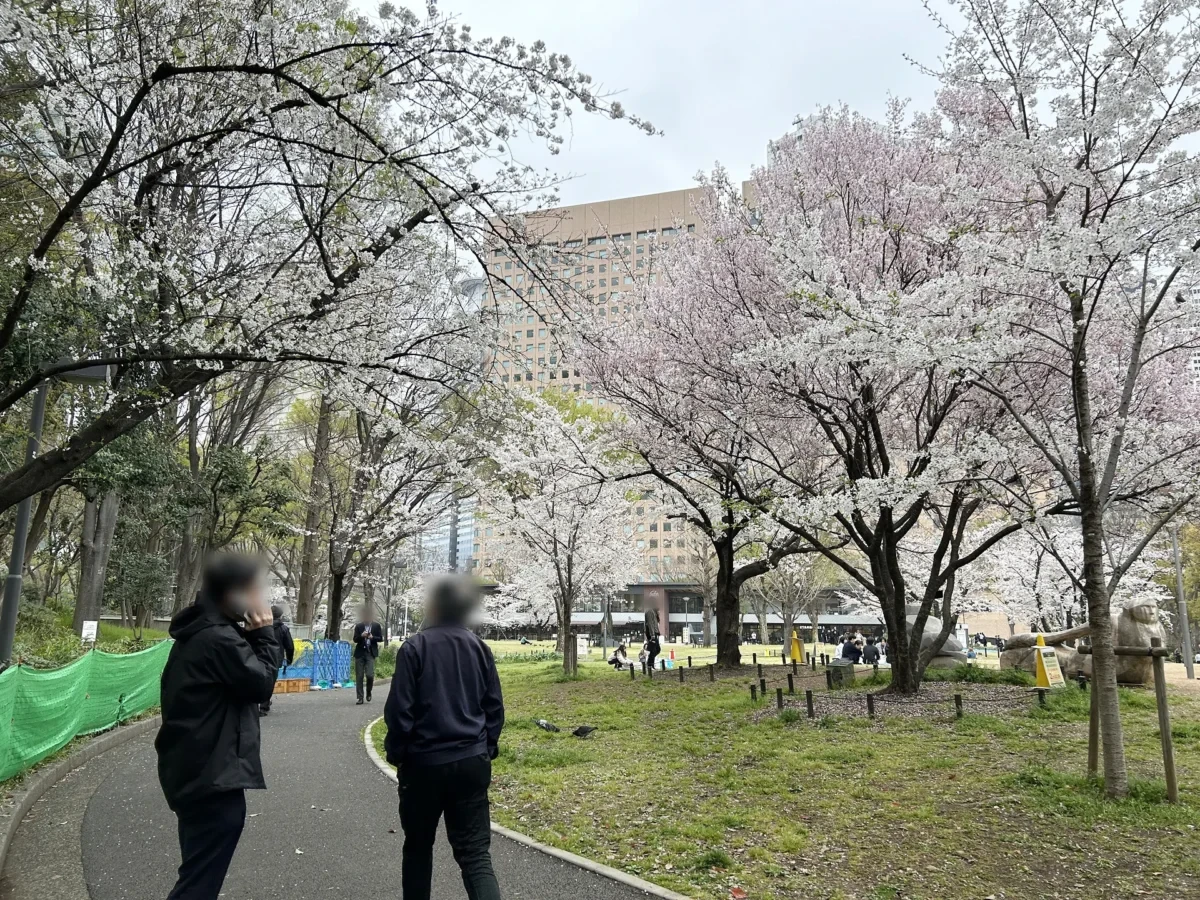 2024/4/5の桜