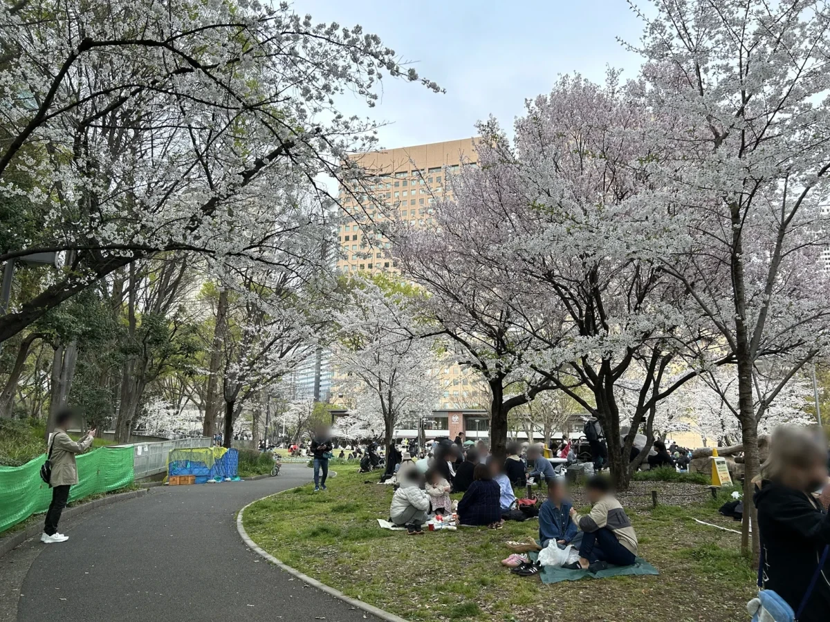 2024/4/6の桜