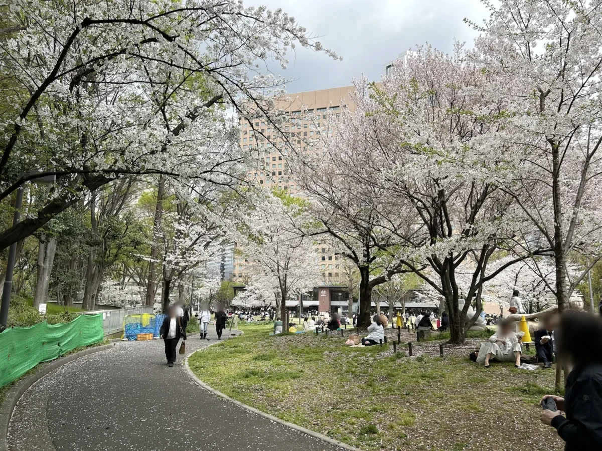 2024/4/8の桜