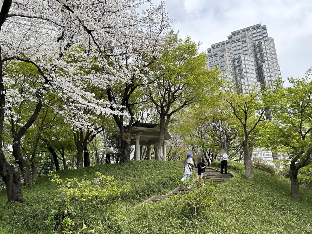 2024/4/8公園の桜