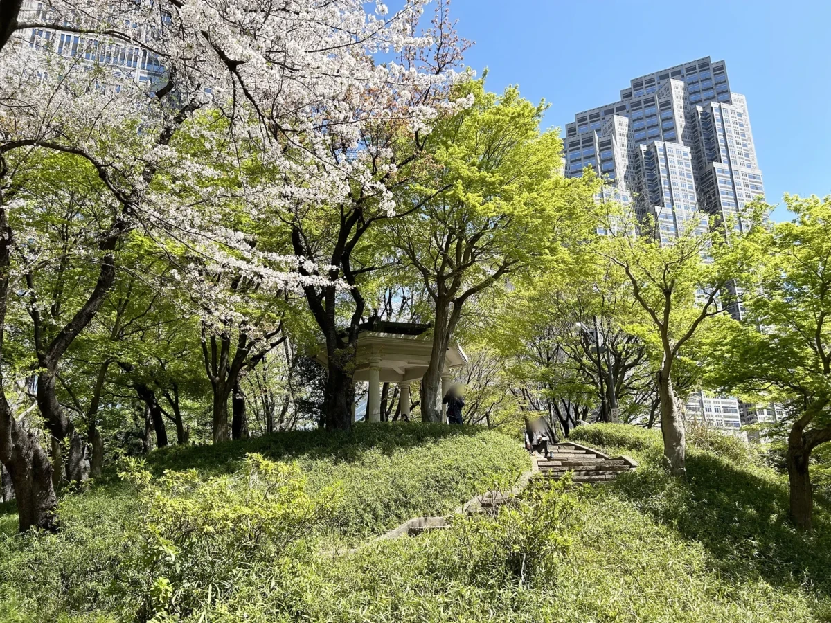 2024/4/10公園の桜