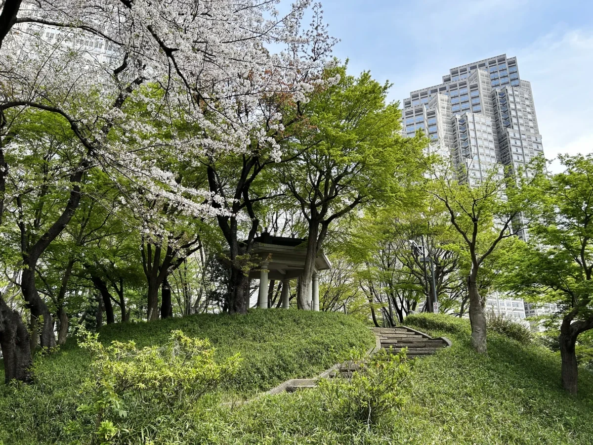 2024/4/11公園の桜