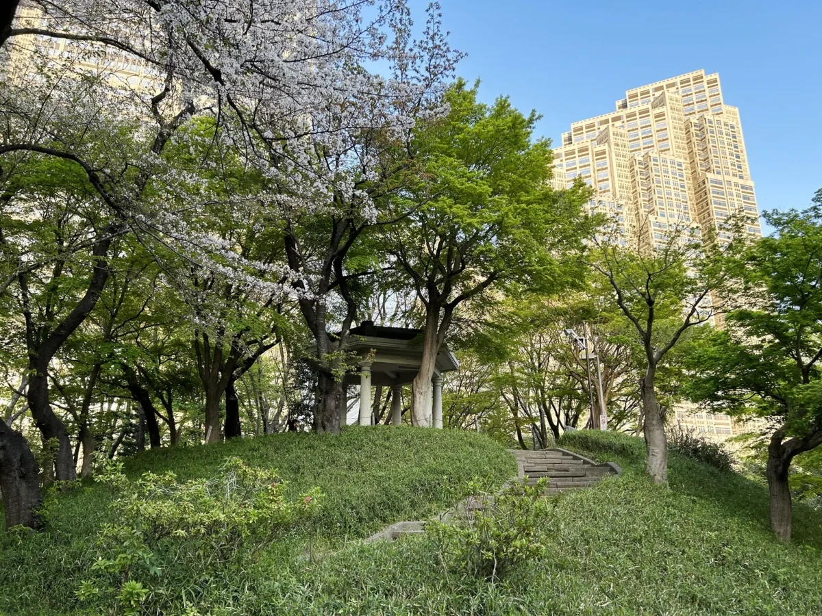 2024/4/13公園の桜