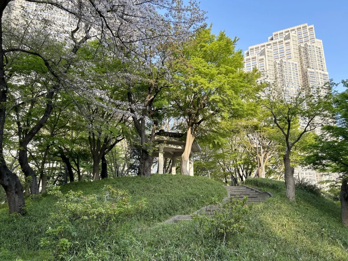 2024/4/14公園の桜