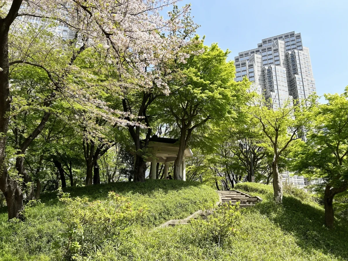 2024/4/15公園の桜