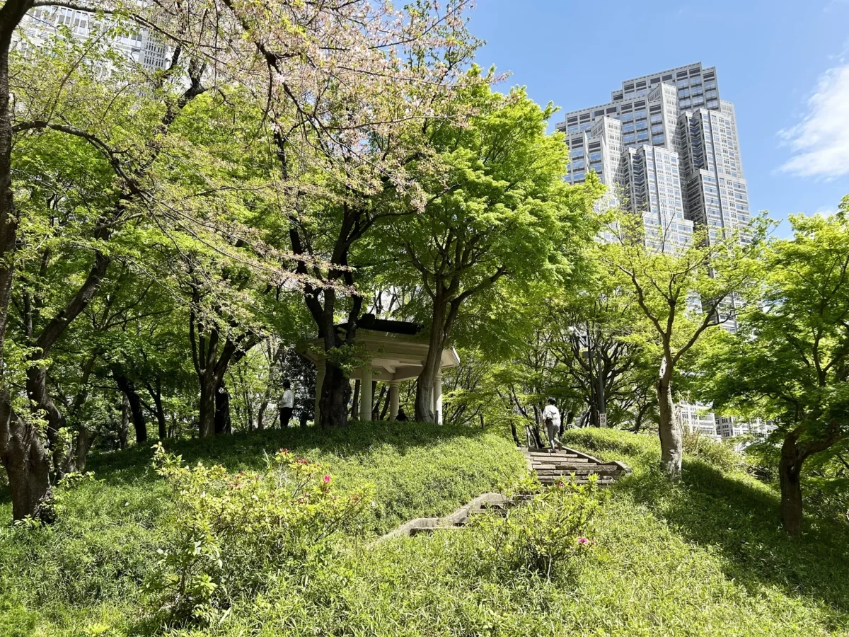 2024/4/16公園の桜