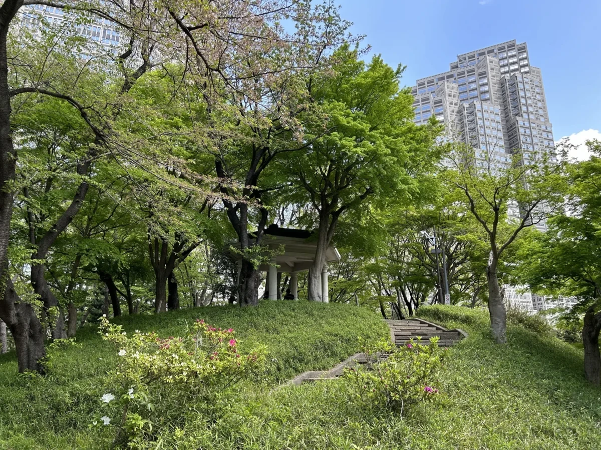 2024/4/17公園の桜