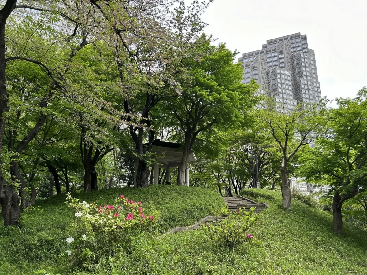 2024/4/18公園の桜