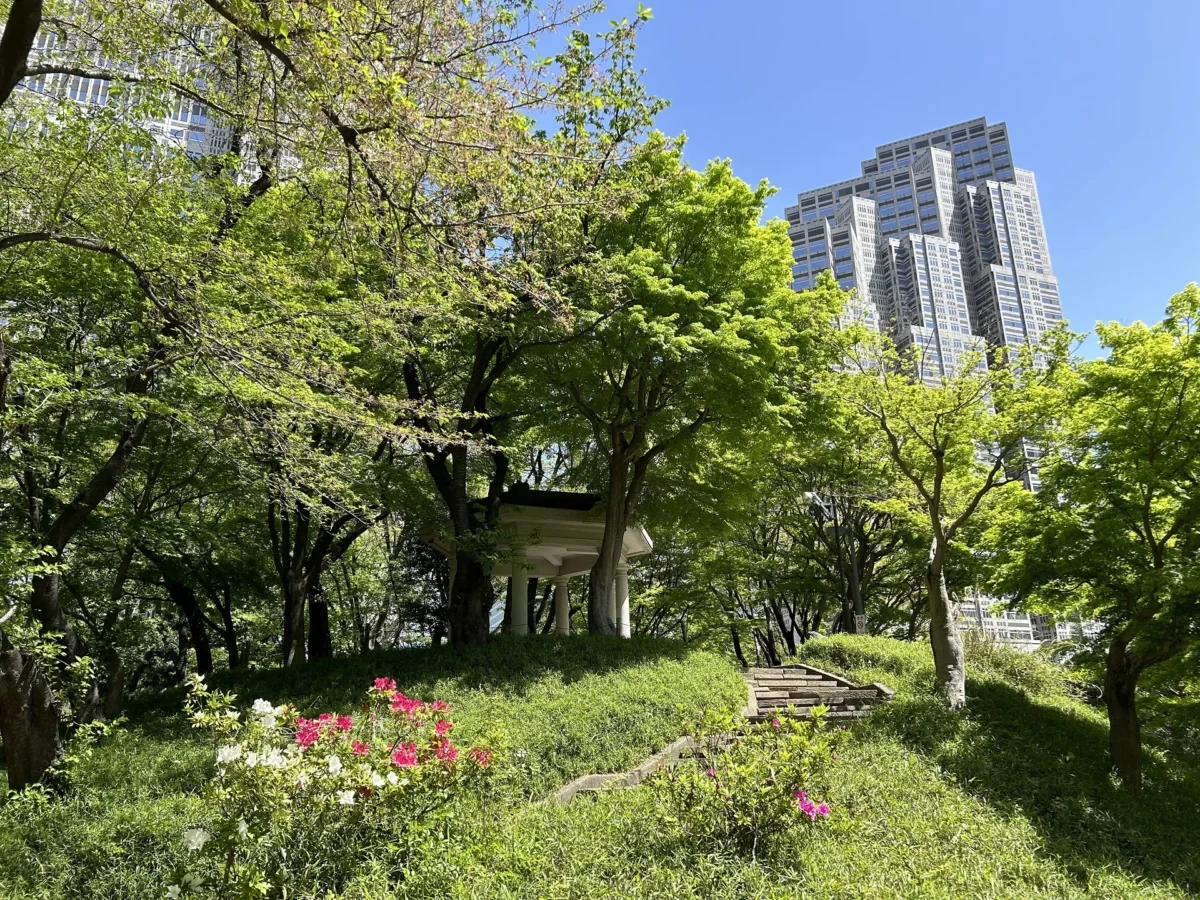 2024/4/19公園の桜